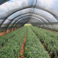 sun shade net for greenhouse shading system